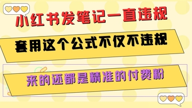 小红书发笔记一直违规,套用这个公式不仅不违规,来的还都是精准的付费粉-九才资源网
