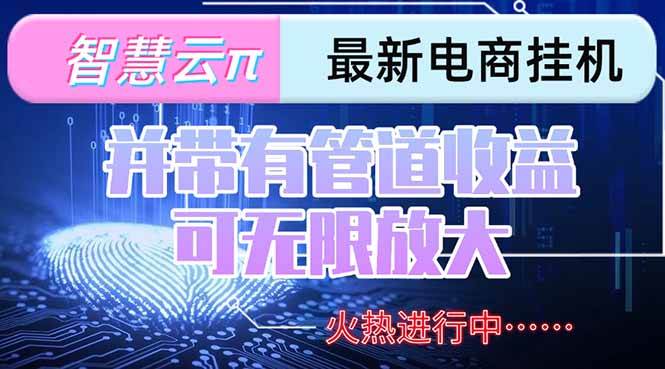 (15314期)智慧云π电脑挂机单机每天收益300—500+ 并带有团队管道收益 可无限放大-九才资源网