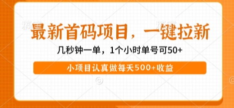 最新首码项目,操作最简单,收益高,一键拉新,1个小时单号可50+,小项目认真做每天5张+收益【揭秘】-九才资源网