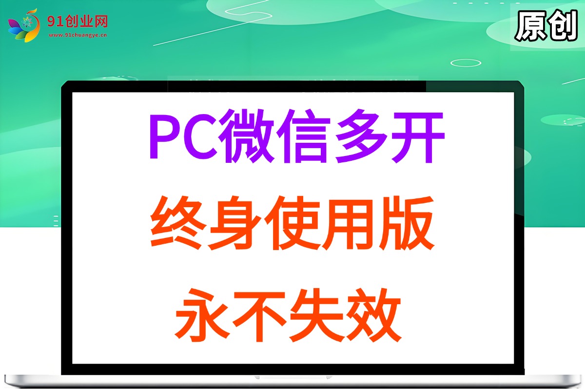 (15335期)PC微信多开终身定制版,超级简单,几行代码搞定,永不失效-九才资源网