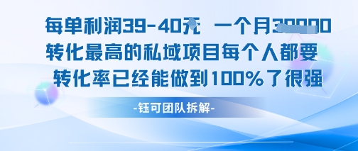 每单利润40一个月7k+转化最高的私域项目,每个人都要的产品转化率已经能做到100%-九才资源网