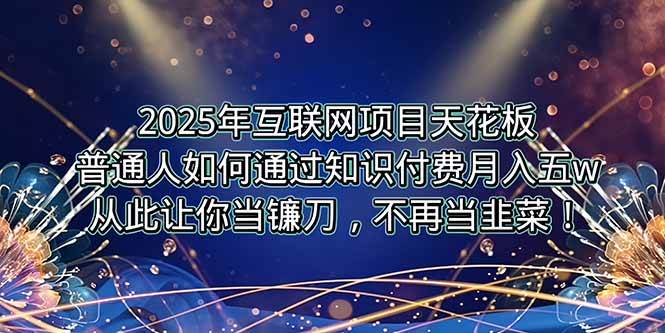 (15354期)2025年互联网项目天花板,普通人如何通过卖项目实现逆风翻盘,月入5W+!-九才资源网