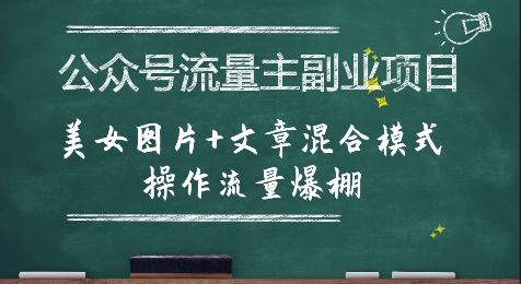 公众号流量主副业项目,美女图片+文章混合模式操作流量爆棚-九才资源网