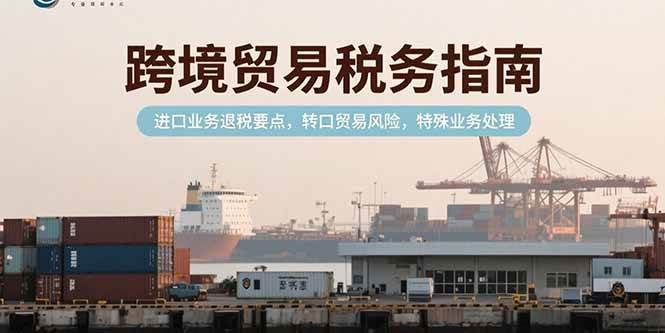 (15381期)跨境贸易税务指南,进口业务退税要点,转口贸易风险,特殊业务处理-九才资源网