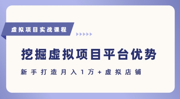 抓住虚拟项目各平台优势,新手轻松月入1W+(给出具体建议)-九才资源网