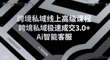 跨境私域线上高级课程,跨境私域极速成交3.0+Ai智能客服-九才资源网