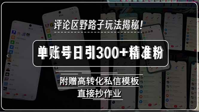 (15466期)评论区野路子玩法揭秘!单账号日引300+精准粉,附赠高转化私信模板,直…-九才资源网