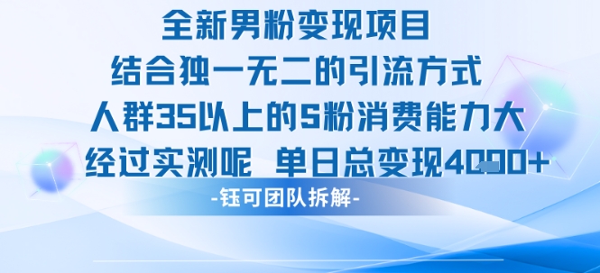 全新男粉变现项目引流人群35以上的男粉消费能力大 经过实测单日变现1k+-九才资源网
