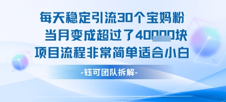 每天稳定引流30个人 当月变成超过了4个W项目流程非常简单适合小白-九才资源网