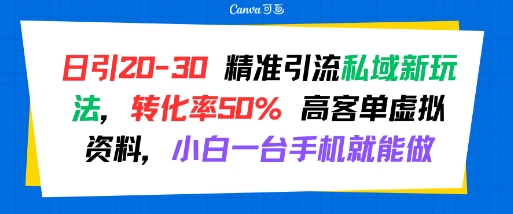 日引 20-30 精准引流私域新玩法,转化率50% 高客单虚拟资料,小白一台手机就能做-九才资源网