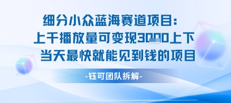 小众蓝海赛道项目:当天变现1k+适合新手操作 +适合长期玩-九才资源网