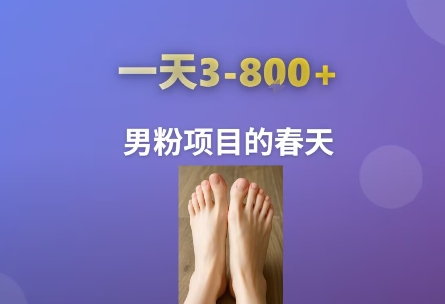 AI一键生成美女素材,一天收益3-8张,男粉项目的春天-九才资源网