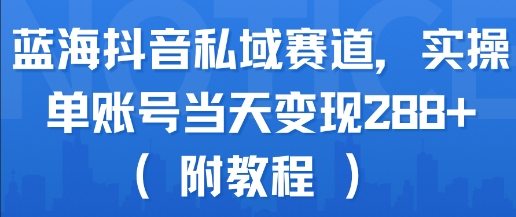 蓝海抖音私域赛道,实操单账号当天变现288+(附教程)-九才资源网