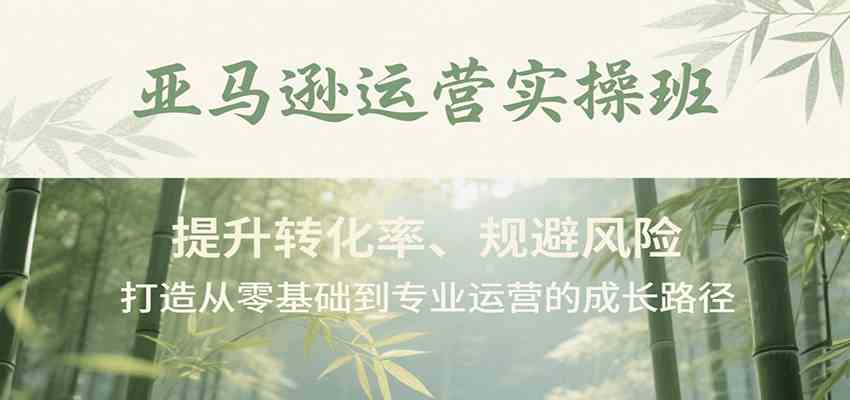 亚马逊运营实操班,提升转化率、规避风险,打造从零基础到专业运营的成长路径-九才资源网