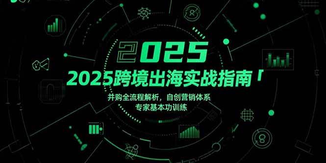 (15503期)2025跨境出海实战指南,并购全流程解析,自创营销体系,专家基本功训练-九才资源网