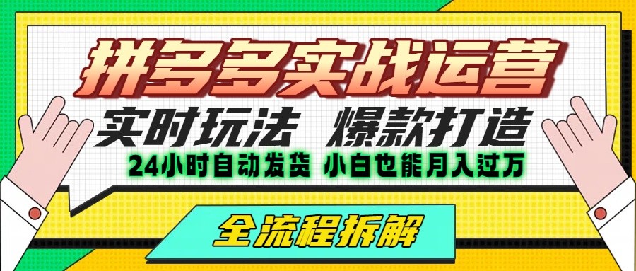 拼多多最新实战运营高投产:长久稳定项目,单店利润一天三位数-九才资源网