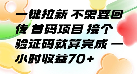 一键拉新 不需要回传 首码项目 接个验证码就算完成 一小时收益70+【揭秘】-九才资源网