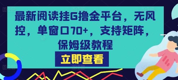 最新阅读挂G撸金平台,无风控,单窗口70+,支持矩阵,保姆级教程【揭秘】-九才资源网