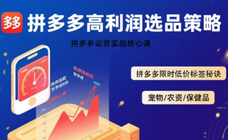拼多多选品暴利技术实战课,拼多多高利润选品策略,拼多多限时低价标签秘诀-九才资源网