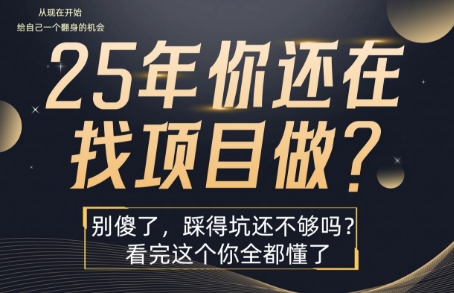 25年,你还在疯狂的找项目吗?别傻了,看完这个你都懂了【揭秘】-九才资源网