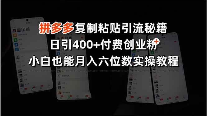 (15613期)拼多多复制粘贴引流秘籍,日引400+付费创业粉,小白也能月入六位数实操…-九才资源网