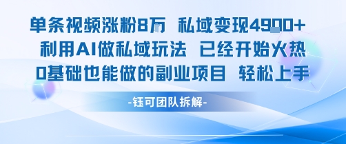 单条视频私域变现4.9k+利用AI做私域玩法 已经开始火热0基础也能做的副业项目轻松上手-九才资源网