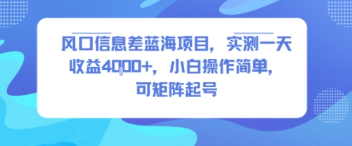 风口信息差蓝海项目,实测一天收益4k+,小白操作简单,可矩阵起号-九才资源网