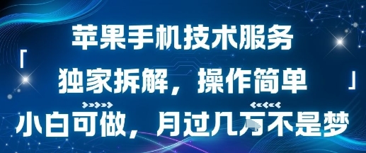 苹果手机技术服务,独家拆解,操作简单,小白可做,月过1W不是梦-九才资源网