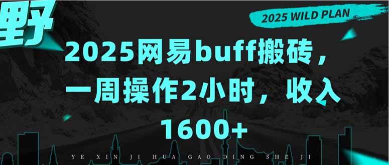 (15666期)2025网易buff搬砖,一周操作2小时,收入1600+-九才资源网