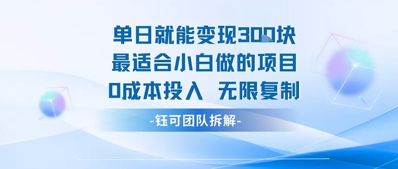 单日就能变现3张最适合小白做的项目0成本投入 无限复制-九才资源网