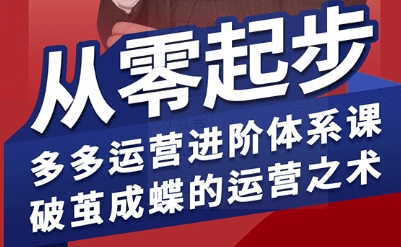 拼多多运营进阶系统课,从零起步,多多运营进阶体系课,破茧成蝶的运营之术-九才资源网