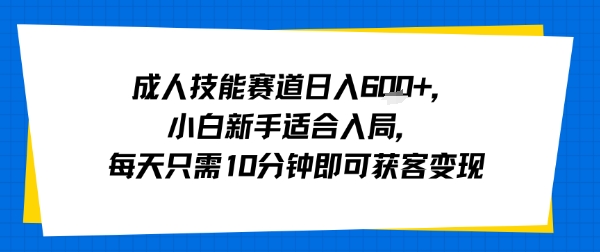 成人技能赛道日入多张,小白新手适合入局,每天只需10分钟即可获客变现-九才资源网