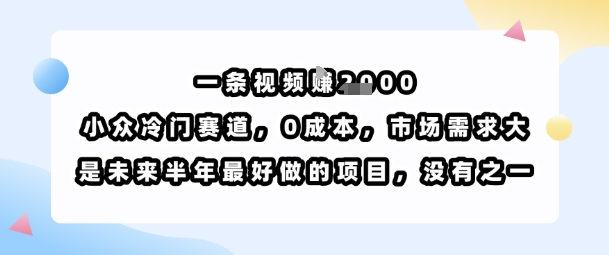 一条视频挣1k,小众冷门赛道,0成本,市场需求大,是未来半年最好做的项目,没有之一-九才资源网