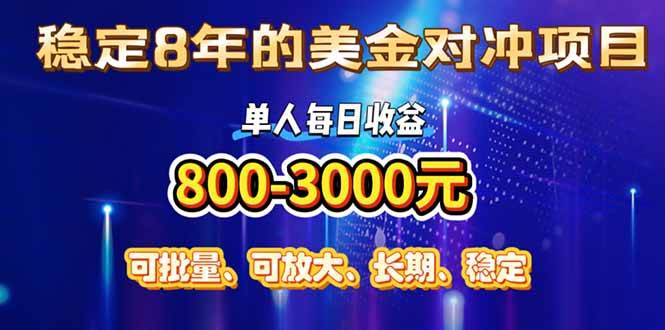 (15782期)稳定8年的美金对冲创业项目,单人每日收益800-3000,小众暴力项目-九才资源网