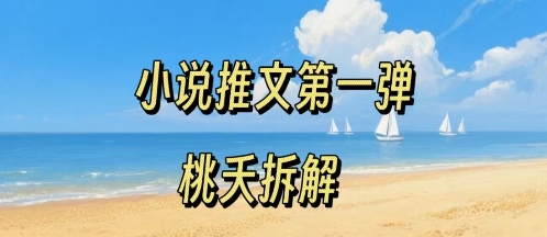 小说推文项目操作全流程第一弹,0粉就能做,门槛低非常适合新手-九才资源网