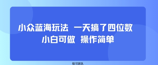 小众蓝海玩法 一天搞了四位数 小白可做 操作简单-九才资源网