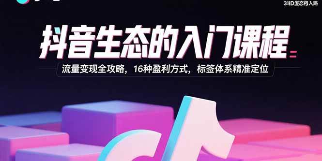(15856期)抖音生态的入门课程:流量变现全攻略,16种盈利方式,标签体系精准定位-九才资源网