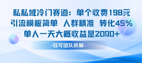 私域冷门赛道单个收费198米引流模板简单人群精准 45%的转化率单人一天大概收益多张-九才资源网