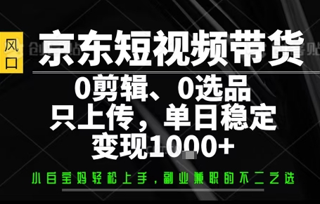 你出账号,我来运营,保底日入1k+,开启躺賺模式【揭秘】-九才资源网