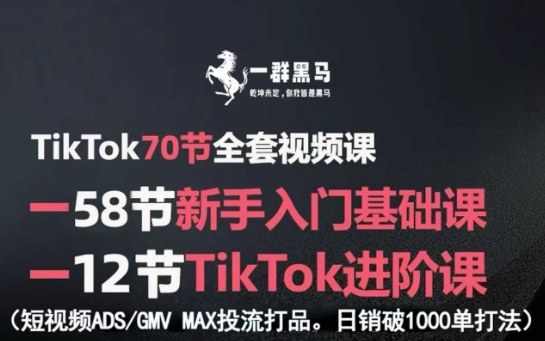 TikTok全套视频课,新手入门+进阶课,短视频ADS-GMV MAX投流打品,日销破1000单打法-九才资源网