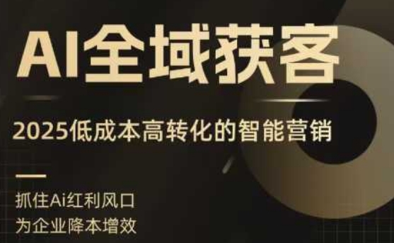 AI全域获客实训营,2025低成本高转化的智能营销,精准找客,高效营销-九才资源网