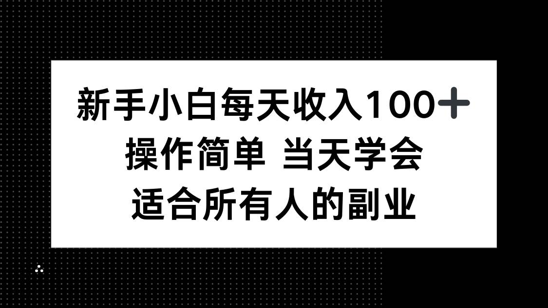 (15937期)新手小白每天收入100+,操作简单 当天学会 ,适合所有人的副业-九才资源网