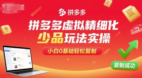 拼多多虚拟精细化少品玩法实操,小白0基础轻松复制-九才资源网
