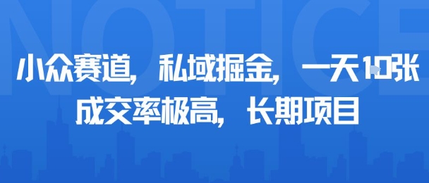 小众赛道,私域掘金,一天多张,成交率极高,长期项目-九才资源网
