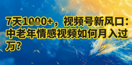 7天收益1k+,视频号新风口:中老年情感视频如何月入过W?-九才资源网