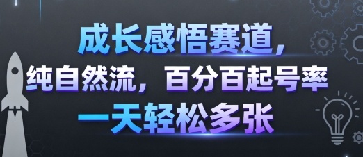 成长感悟赛道,纯自然流,百分百起号率 一天轻松多张-九才资源网