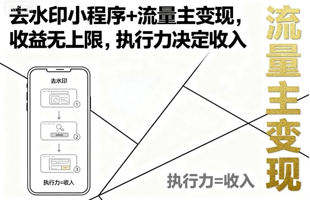 去水印小程序+流量主变现,收益无上限,执行力决定收入-九才资源网