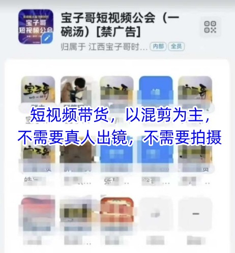 宝子哥头部团队短视频带货,以混剪为主,不需要真人出镜,不需要拍摄【更新9月】-九才资源网