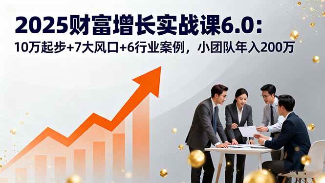 (16004期)2025财富增长实战课6.0:10万起步+7大风口+6行业案例,小团队年入200万-九才资源网