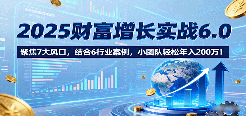 2025财富增长实战6.0,聚焦7大风口,结合6行业案例,小团队轻松年入200万!-九才资源网